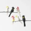 Feather Cockatoo On Clip Set Of 6 -Koala Home Shop 21602801 P