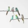 Feather Budgie On Clip Set Of 6 1 Feather Budgie On Clip Set Of 6 -Koala Home Shop 21603001 P