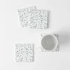Eucalypt Coaster Set -Koala Home Shop 21668301 P 1