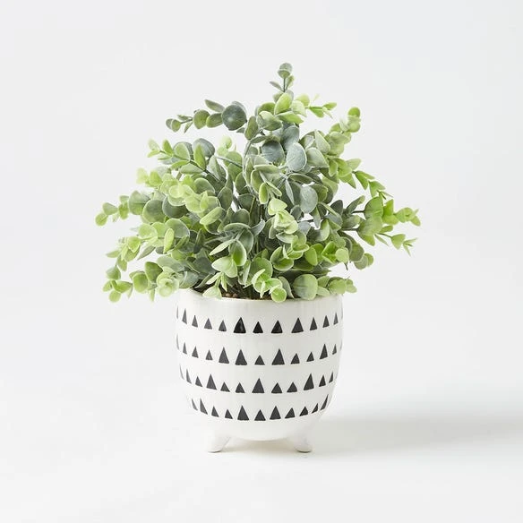 Nancy Pattern Pot And Plant 3 Nancy Pattern Pot And Plant