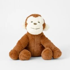 Benjamin Monkey