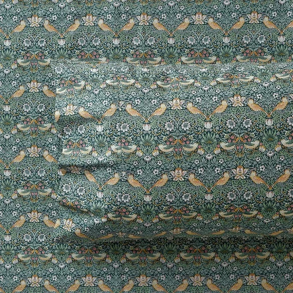 Strawberry 250 TC Cotton Thief Sheet Set - Teal 3 Strawberry 250 TC Cotton Thief Sheet Set - Teal