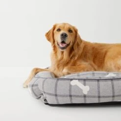 Premium Dog Bed Large -Koala Home Shop M F Dogbeds Puppies Studio 20068 SI
